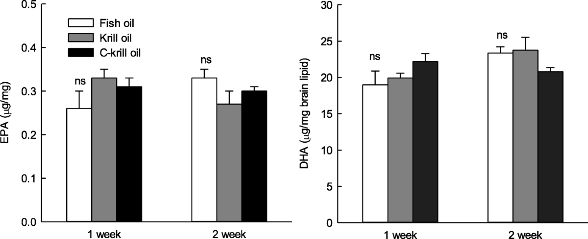 Comparison of the Absorption Rate Between Fish Oil and Krill Oil